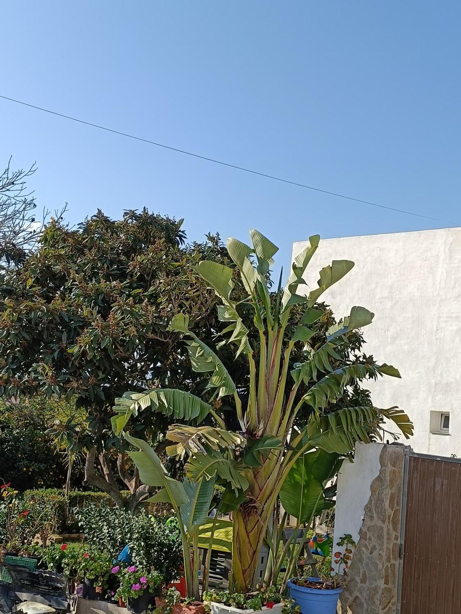 Pueblos Blancos Vejer de la Frontera Exterior photo